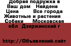 Добрая подружка,в Ваш дом!!!Найдена › Цена ­ 10 - Все города Животные и растения » Собаки   . Московская обл.,Дзержинский г.